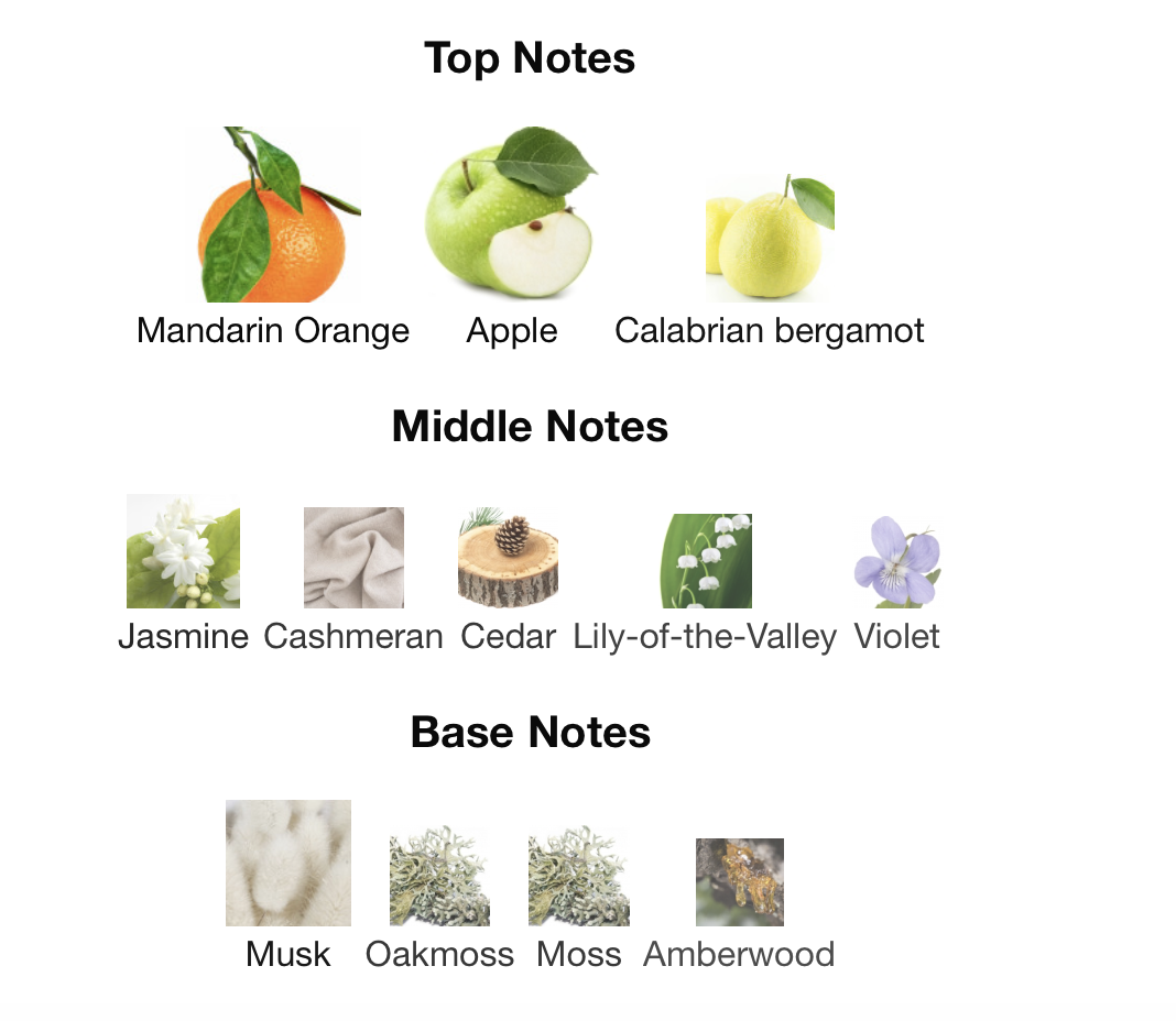 Rue Broca Nexa Immortal EDP 100ml